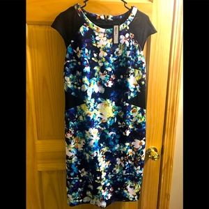 Dress NWT